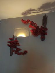 -琦品高端美容SPA私佳美场