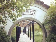 iphone_upload_pic-走马楼饭庄(慈城古县城店)