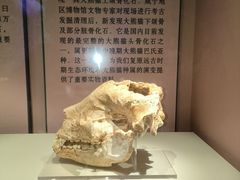 -咸宁市博物馆