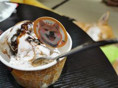 -逗柴咖啡屋·狗咖猫咖宠物桌游