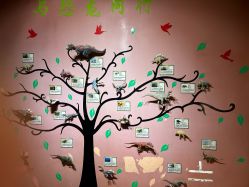 -酷嗒动物文化乐园(cutezoo西溪乐天城店)