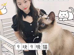 -白夜2D咖啡馆