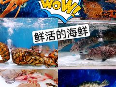 -盒马鲜生(枣园路店)