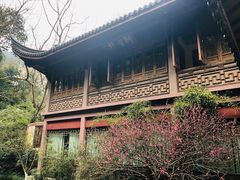 -十八棵（老龙井）御茶园(老龙井店)