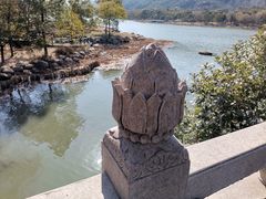 -长广溪湿地公园
