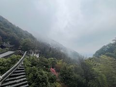 -韬光茶庵