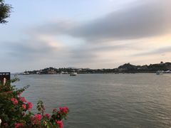 -八婆婆烧仙草(中山路店)