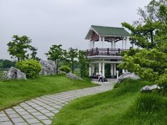 -王借岗森林公园