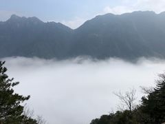 -九华山聚龙大酒店