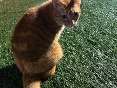 -大白之家天台轰趴•烧烤•团建•生日(南山店)