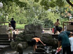 -成都市活水公园