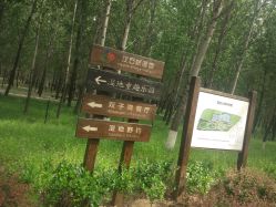 -汉石桥湿地童趣乐园