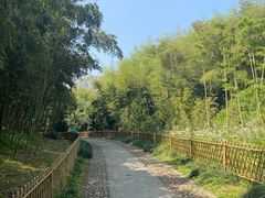 -杭州植物园
