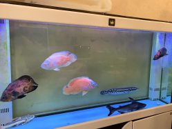 点击看大图 -IDO艾渡护肤造型