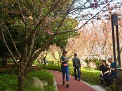 -北外滩滨江绿地