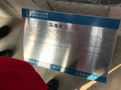 -茂陵博物馆