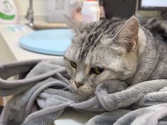 -美联众合24小时·皮肤科·外科·全科诊疗中心(华苑分院)