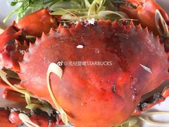蟹-老房子·1881海鲜餐厅