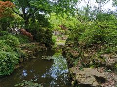 -上海醉白池公园