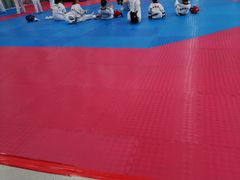 -陈中跆拳道(中关村馆)