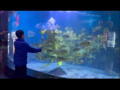 -烟台海昌鲸鲨海洋公园