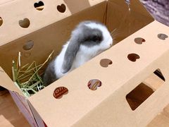 -龙猫仔乐园(惠福东路店)