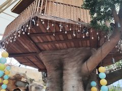 -杭州开元森泊度假乐园