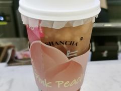 -雾与山茶(大禹城店)