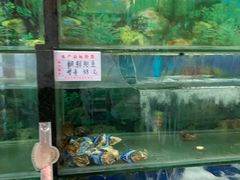 水产区-松涛园朝鲜·海鲜·料理店(鸭绿江断桥店)