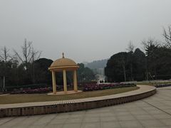-南山植物园