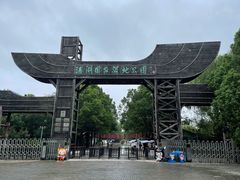 -溱湖国家湿地公园