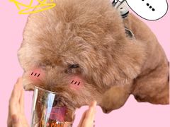 -The PEAT Coffee(深业中城店)