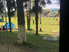 -黄海国家森林公园