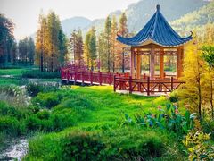 -广州市石门国家森林公园