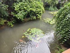 -中国茶叶博物馆(双峰馆区)