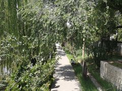 -元大都城垣遗址公园