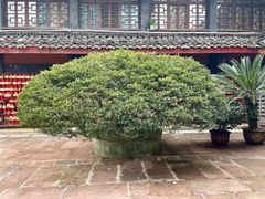 -峨眉山报国寺