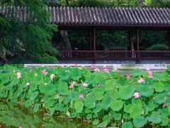 -成都市文化公园