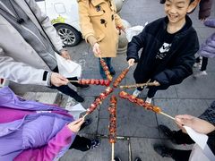 -糖葫芦王保定名吃(古莲花池店)