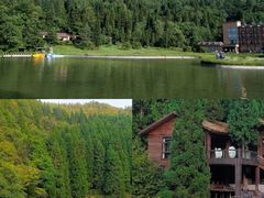 -武陵山森林公园