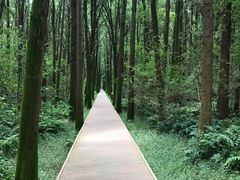 -同里国家湿地公园
