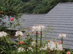 -龙井峡漂流