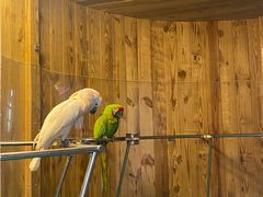 -南宫五洲植物乐园