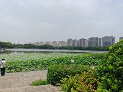 -南翔镇银翔湖公园