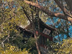 -香山公园