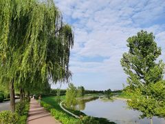 -洨河生态公园