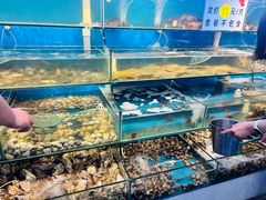 -仙螺岛海鲜自助餐厅(总店)