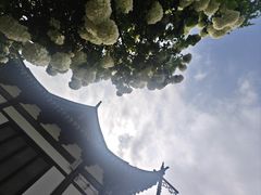 -常熟方塔园