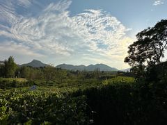 -西部长青自然儿童乐园