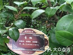 -兰溪青年公园